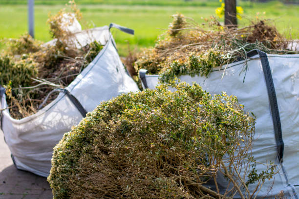 Best Junk Removal Near Me  in Olive Branch, MS