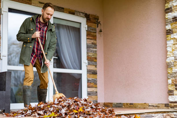 Best Basement Cleanout Services  in Olive Branch, MS